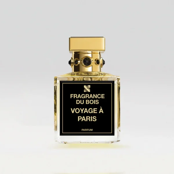 Voyage À Paris