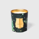 Fir | Trudon