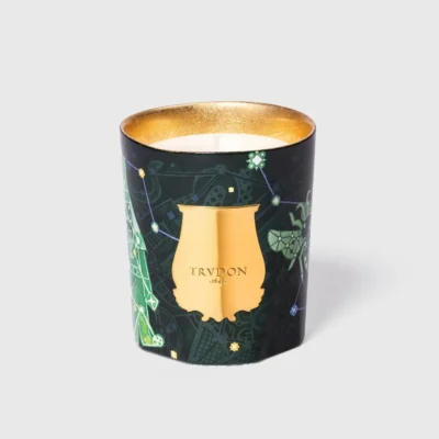 Fir - Chirstimas Tree | Trudon