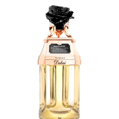 Narjesi | Spirit of Dubai